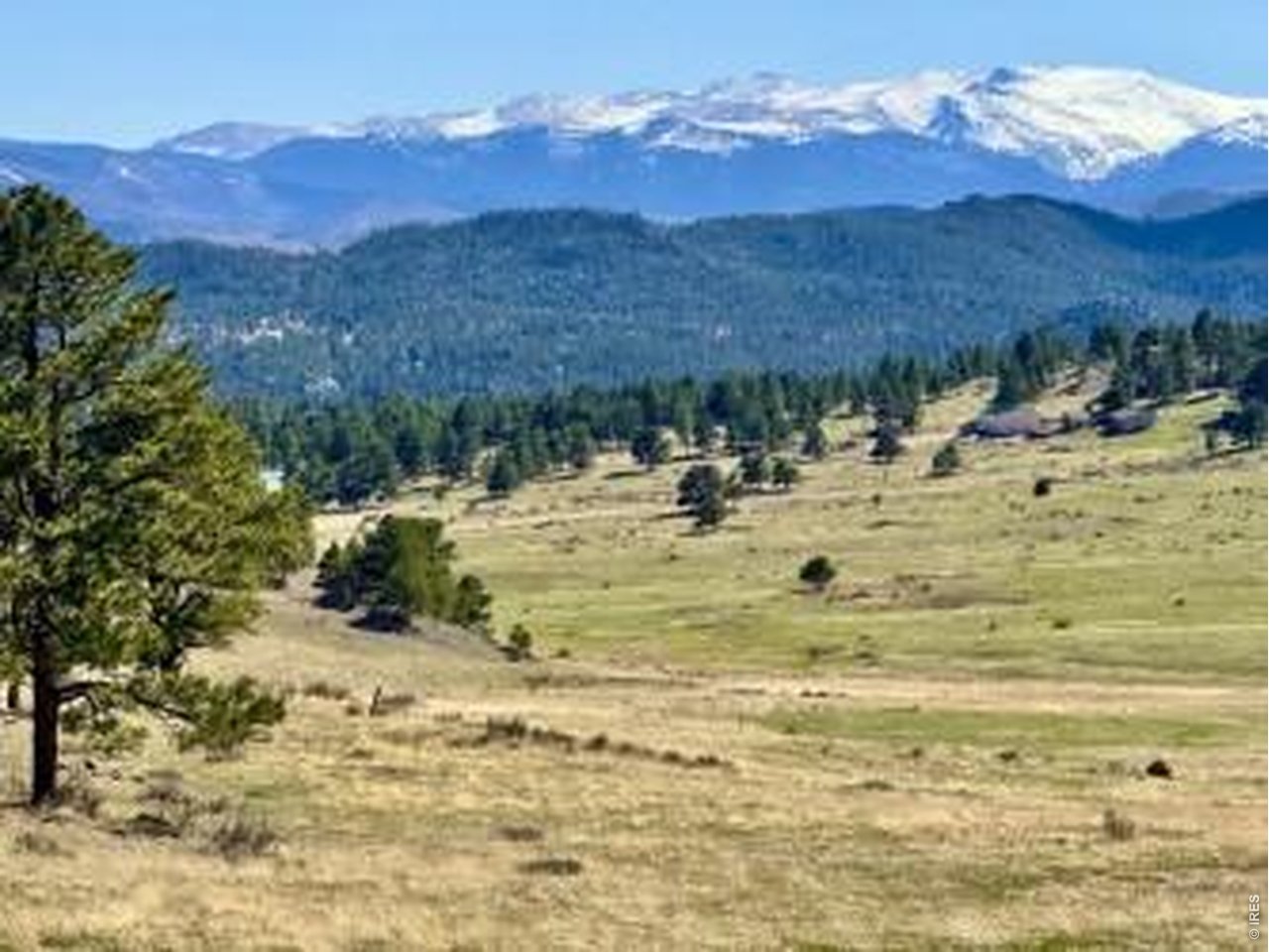 0 Red Feather Lakes Road Livermore, CO 80536 - Photo 22 of 40