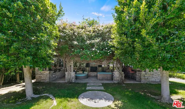 a view of a backyard with plants and a large tree