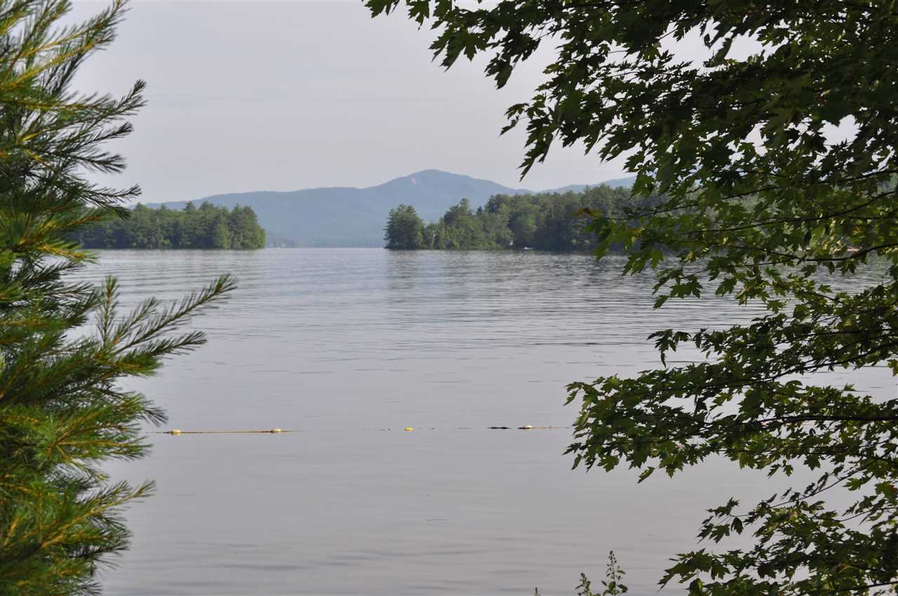 19 Mt Celo Road Bristol, NH 03222 - Photo 40 of 40 Gallery Image 40