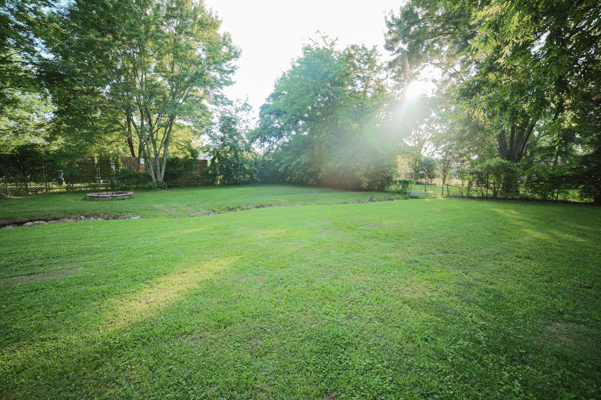 218 Jacksonian Drive Hermitage, TN 37076 - Photo 12 of 15 a view of a big yard with a tree