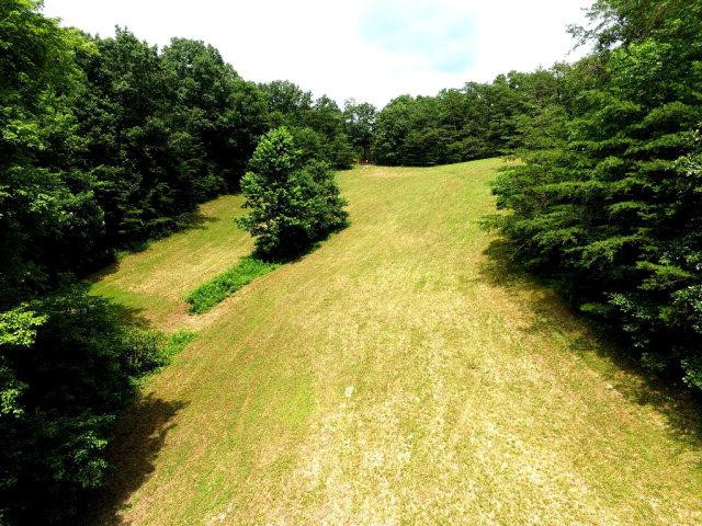 7530 Winchester Road Irvine, KY 40336 - Photo 5 of 37 Photo 5