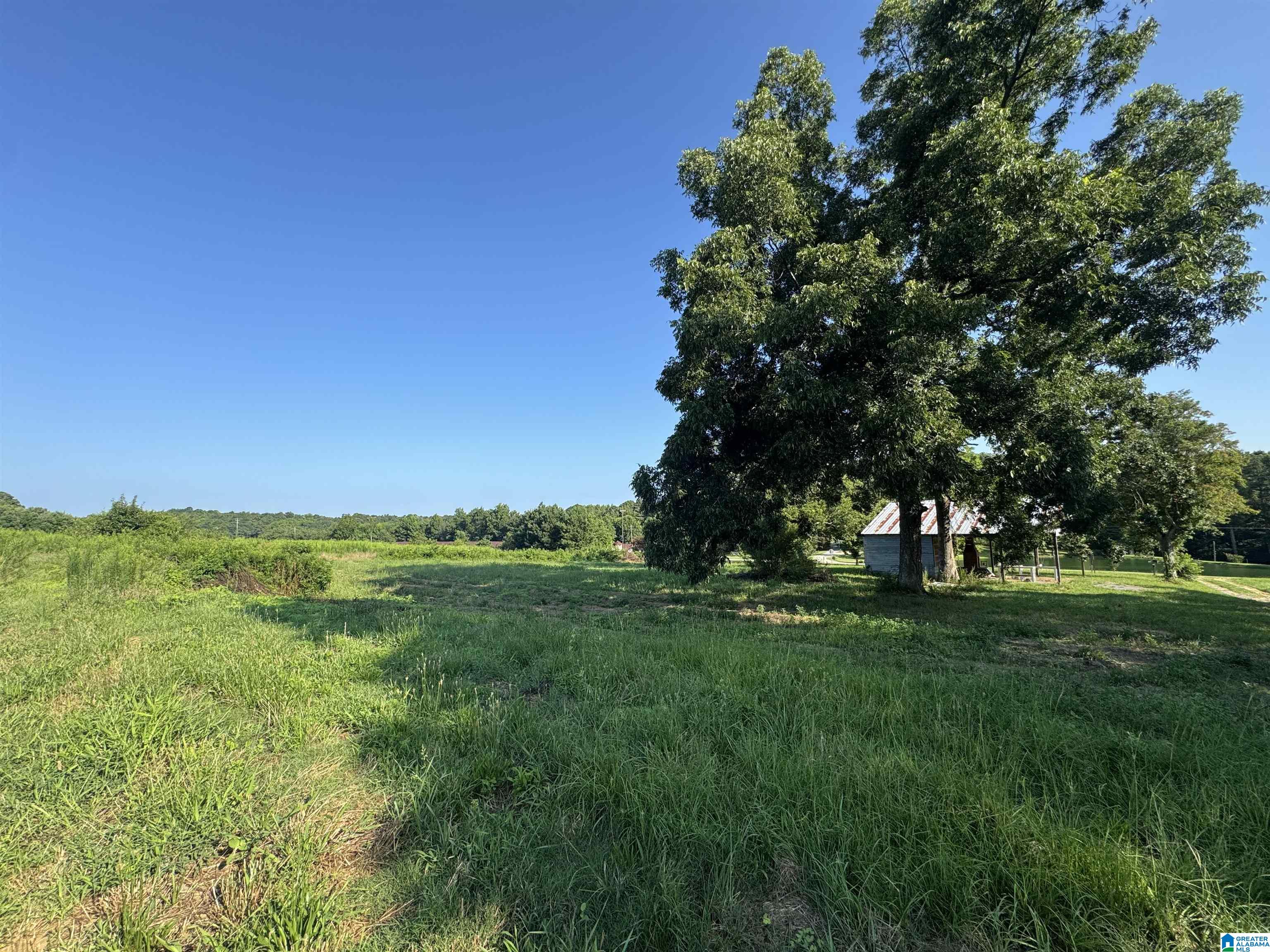 0 County Highway 27, Unit 47 Springville, AL 35146 - Photo 44 of 53