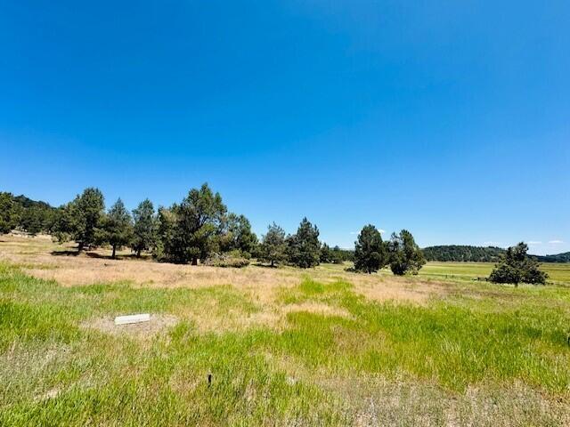 Murrelet Road Klamath Falls, OR 97601 - Photo 3 of 10 3