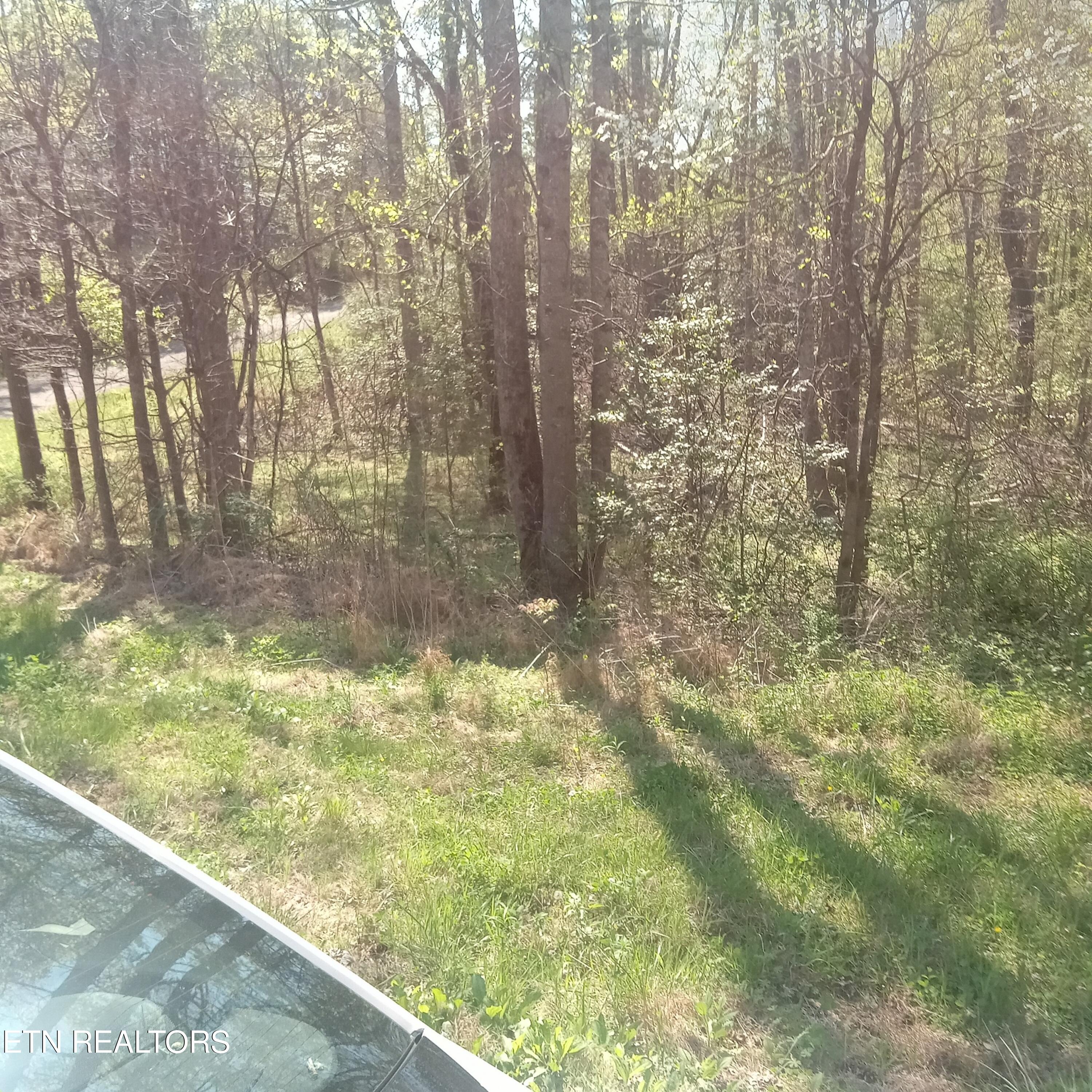 Mountain Road Tellico Plains, TN 37385 - Photo 2 of 6 Resized_20260409_113840