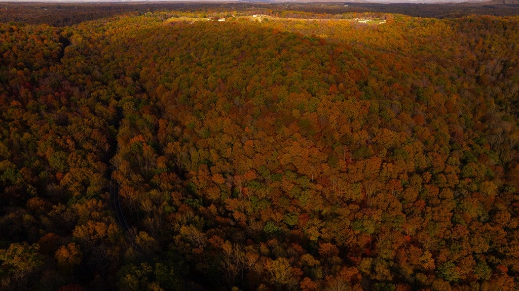 0 State Rt 772 Rarden, OH 45671 - Photo 3 of 37 Gallery Image 3