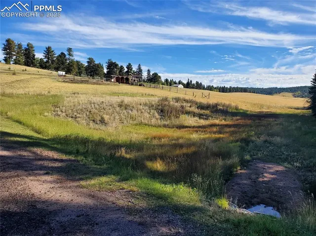 $115,000 | 309 Pinaceae Heights, Divide, CO 80814