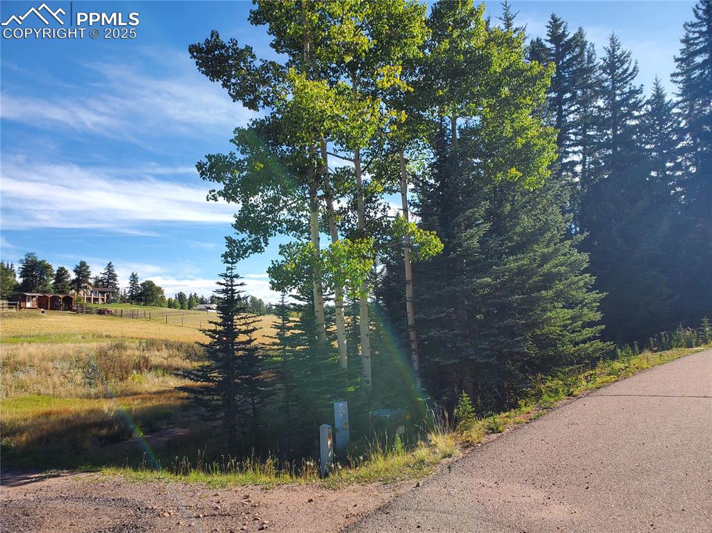 309 Pinaceae Heights Divide, CO 80814 - Photo 14 of 21