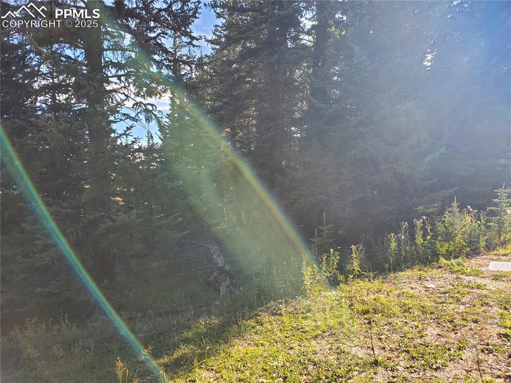 309 Pinaceae Heights Divide, CO 80814 - Photo 16 of 21