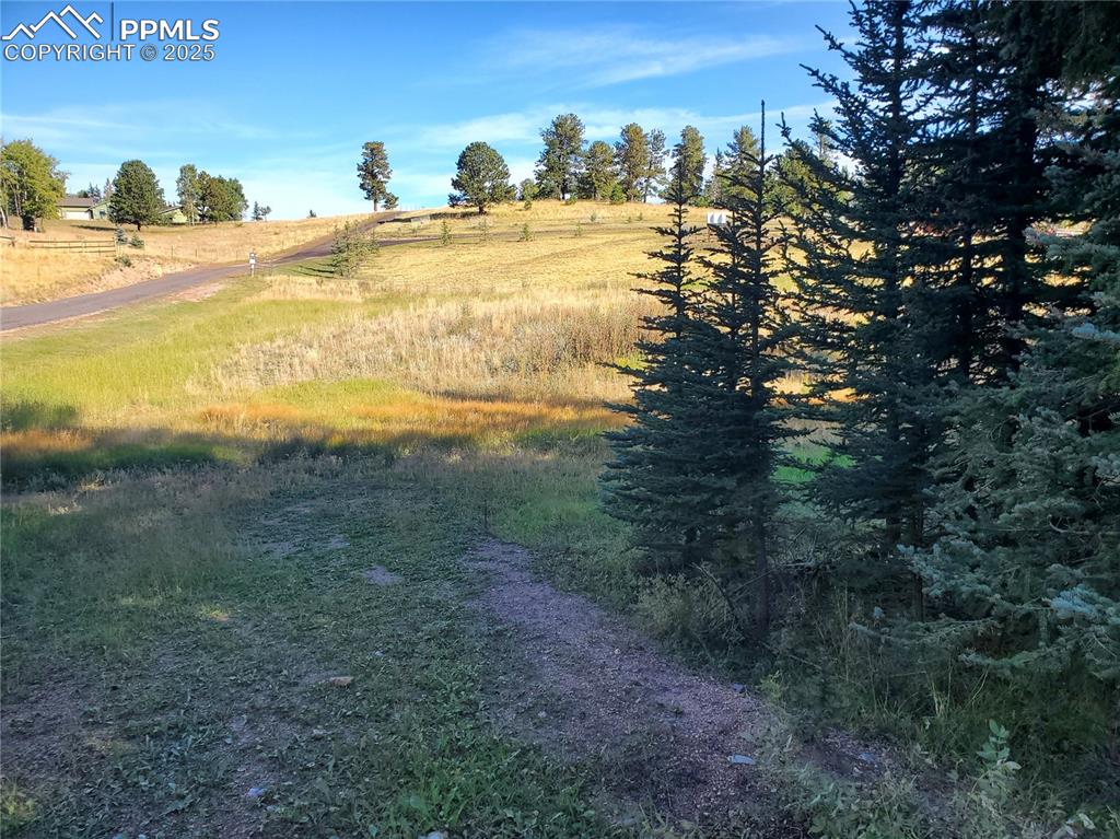 309 Pinaceae Heights Divide, CO 80814 - Photo 18 of 21
