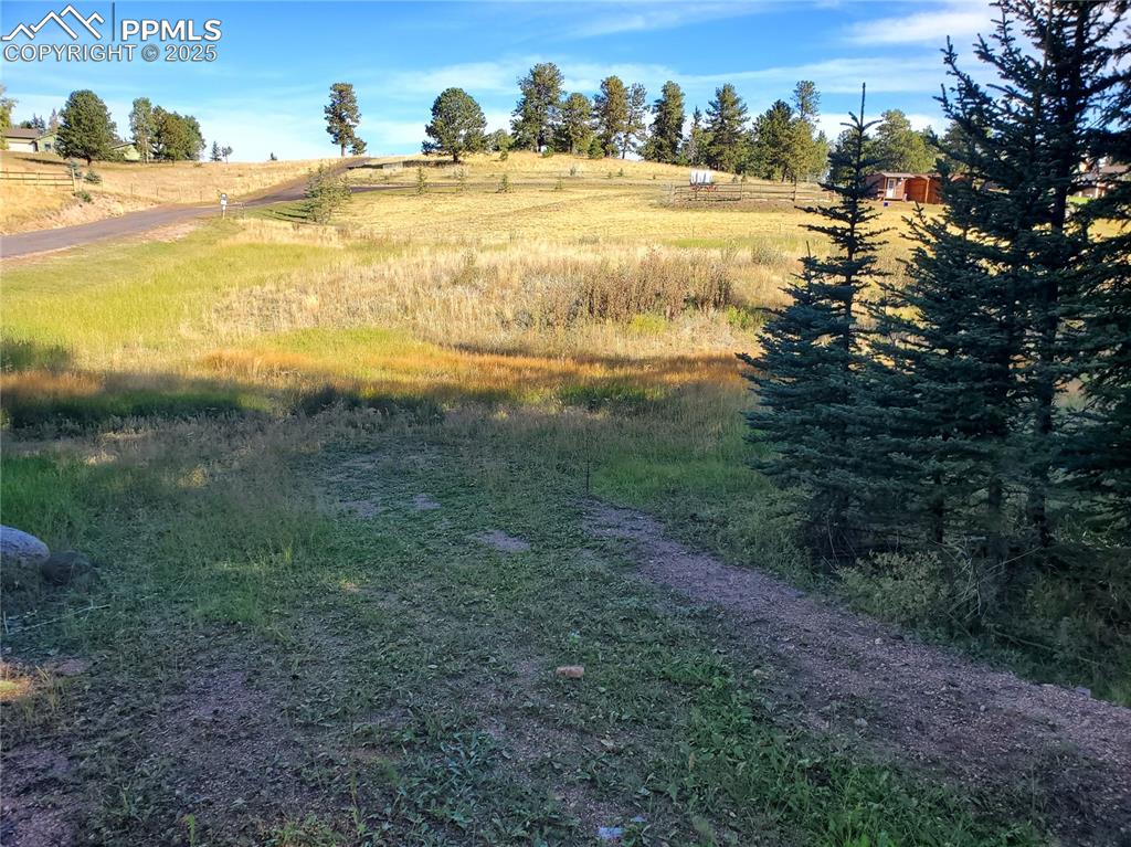 309 Pinaceae Heights Divide, CO 80814 - Photo 20 of 21