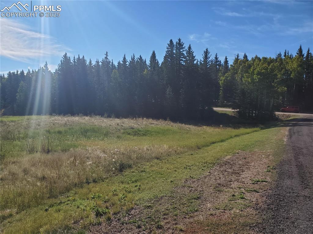 309 Pinaceae Heights Divide, CO 80814 - Photo 4 of 21