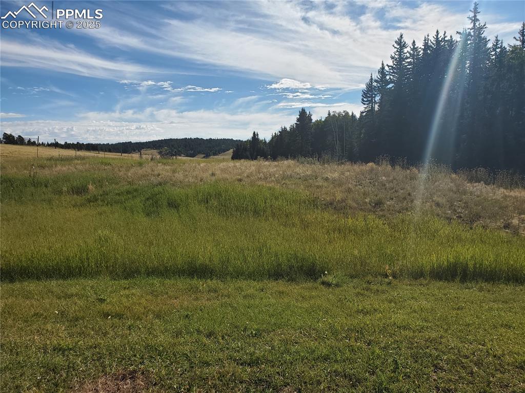 309 Pinaceae Heights Divide, CO 80814 - Photo 6 of 21