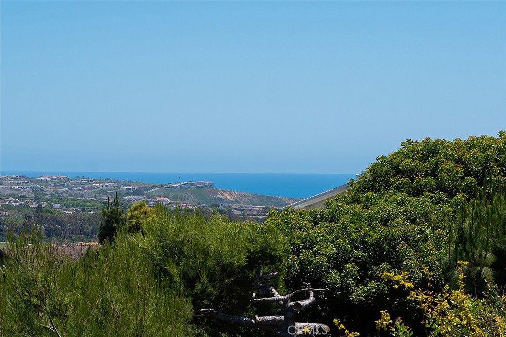 32372 Crete Road Dana Point, CA 92629 - Photo 19 of 28