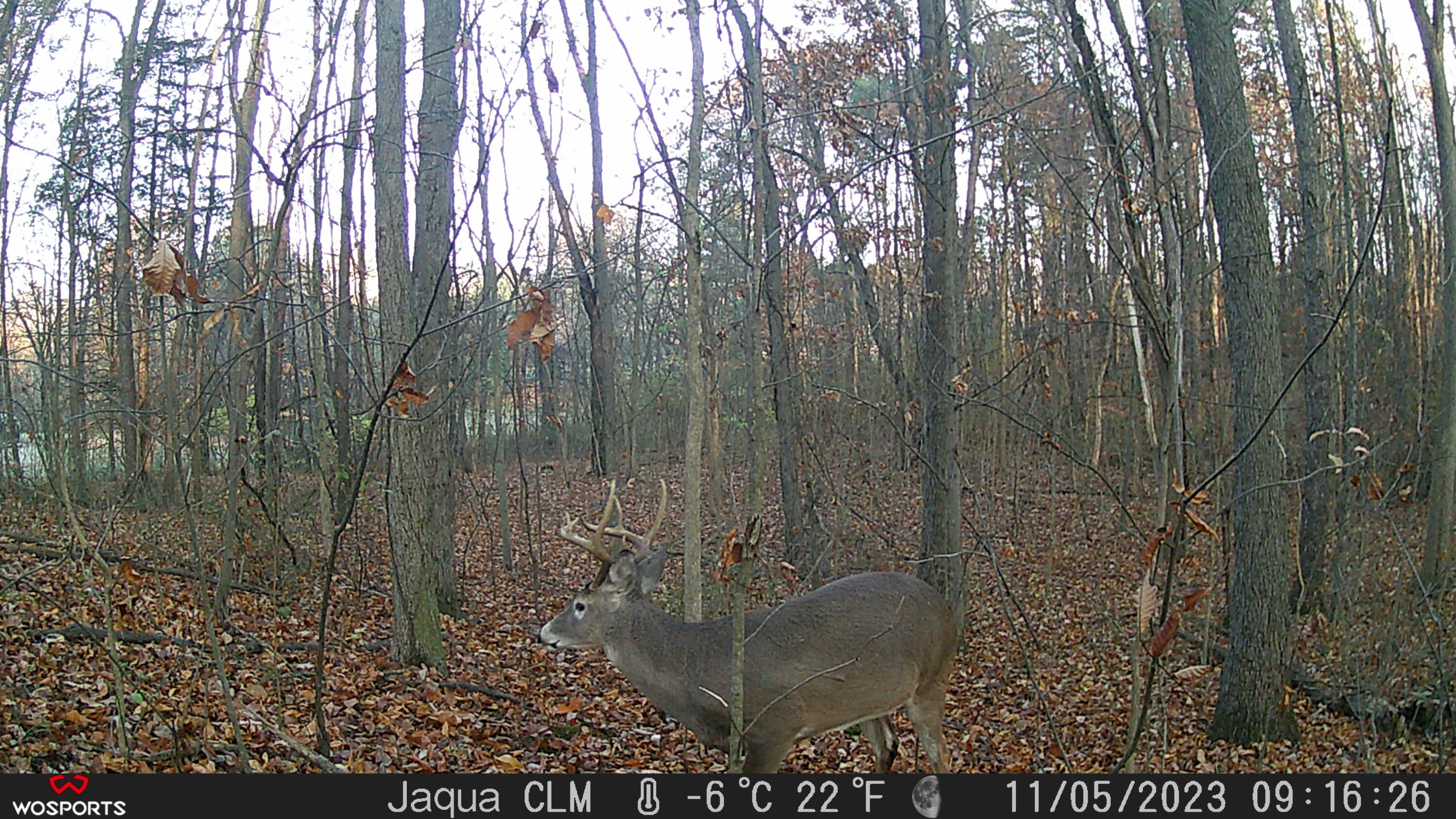1797 Pifer Road Delton, MI 49046 - Photo 5 of 33 Trail Cam