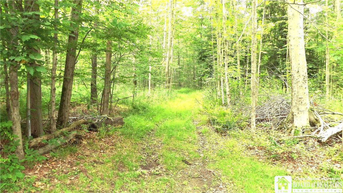 5220 Madden Road Harmony, NY 14767 - Photo 11 of 13 Gallery Image 11