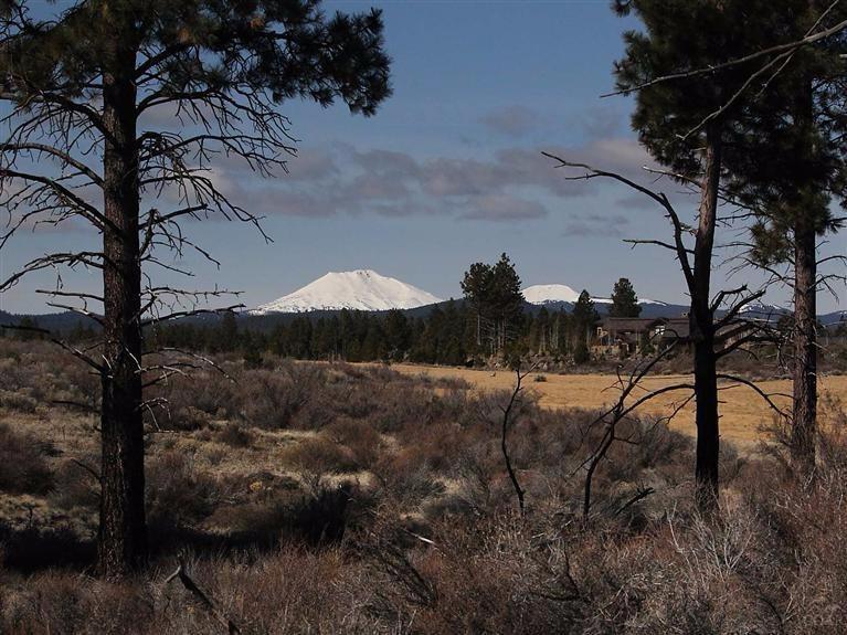 Mount Bachelor from home site.