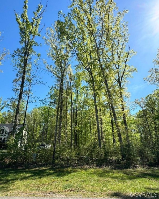 51 Lighthouse Drive Bumpass, VA 23024 - Photo 11 of 23 a view of a yard with large trees