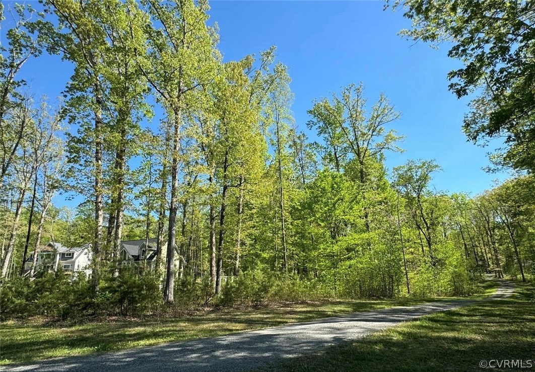 51 Lighthouse Drive Bumpass, VA 23024 - Photo 13 of 23 a view of outdoor space with swimming pool and trees