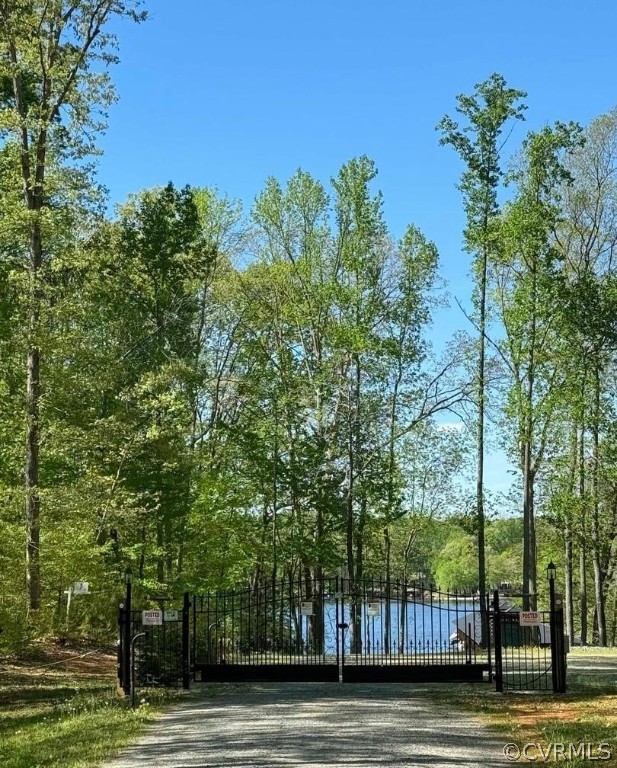 51 Lighthouse Drive Bumpass, VA 23024 - Photo 14 of 23 a view of a yard with a trees