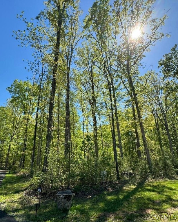 51 Lighthouse Drive Bumpass, VA 23024 - Photo 2 of 23 a view of a forest