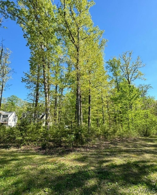 51 Lighthouse Drive Bumpass, VA 23024 - Photo 10 of 23