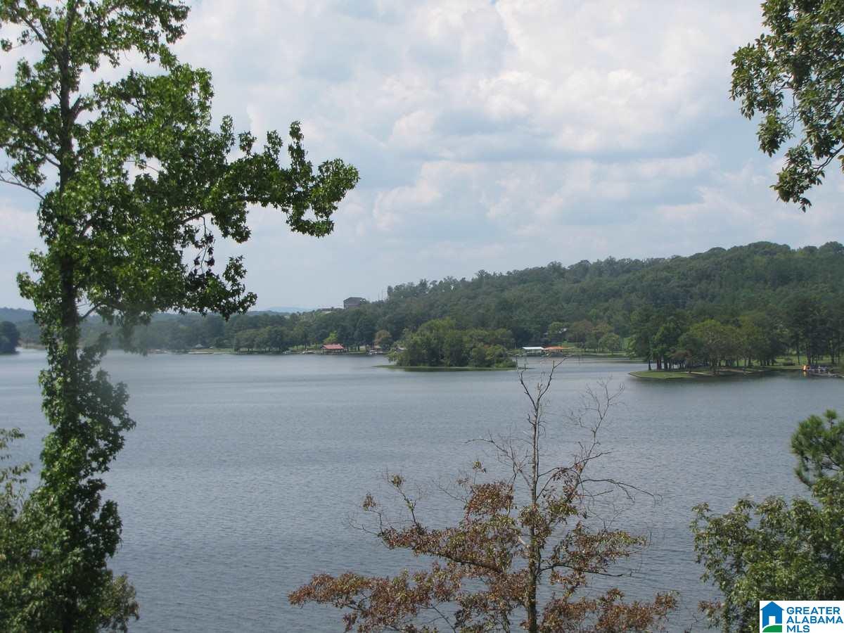 156 Shoreline View Talladega, AL 35160 - Photo 29 of 29