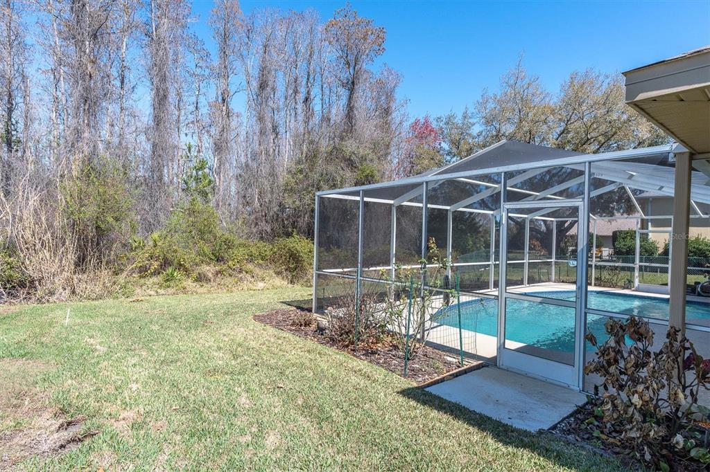 1014 Arlinbrook Drive Trinity, FL 34655 - Photo 43 of 69 a view of a backyard with floor to ceiling window and wooden floor