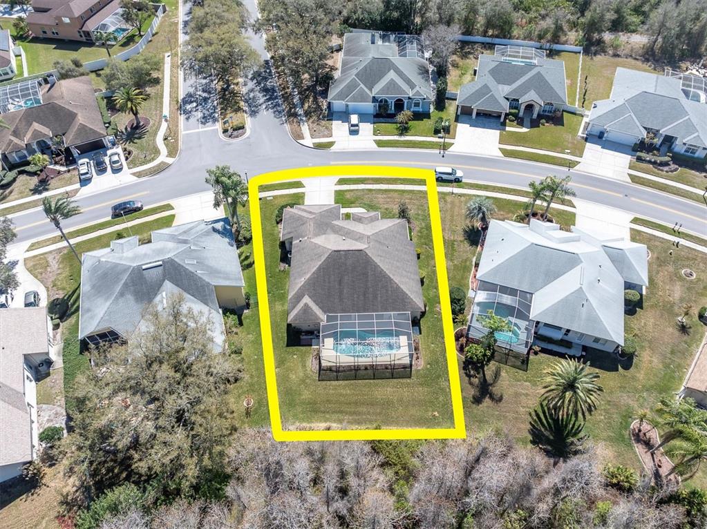 1014 Arlinbrook Drive Trinity, FL 34655 - Photo 48 of 69