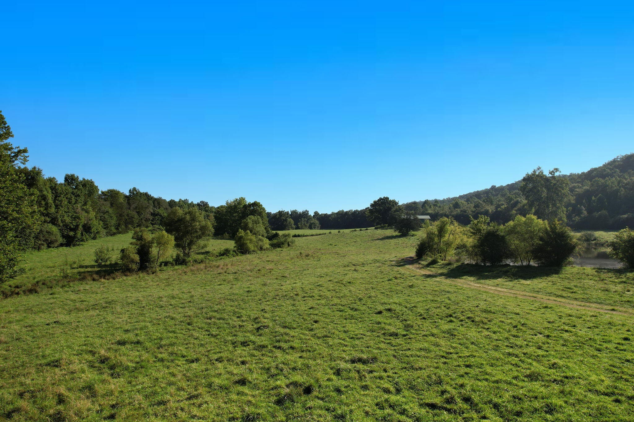 27 Jordan Road Decatur, TN 37322 - Photo 6 of 21