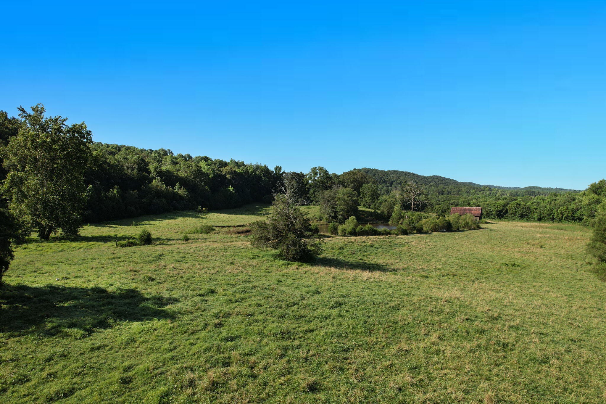 27 Jordan Road Decatur, TN 37322 - Photo 9 of 21