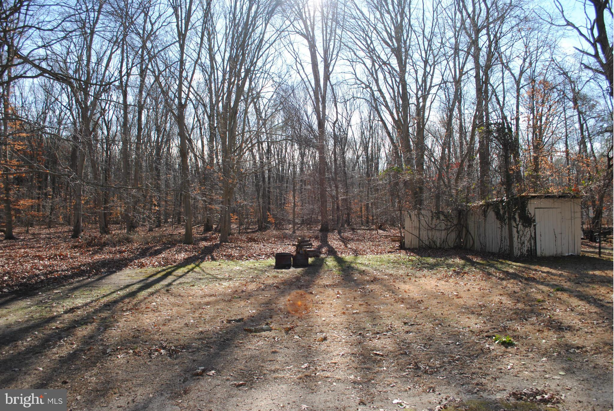 409 Lime Landing Road Millington, MD 21651 - Photo 17 of 17 Just off 301.. but private and quiet spot!