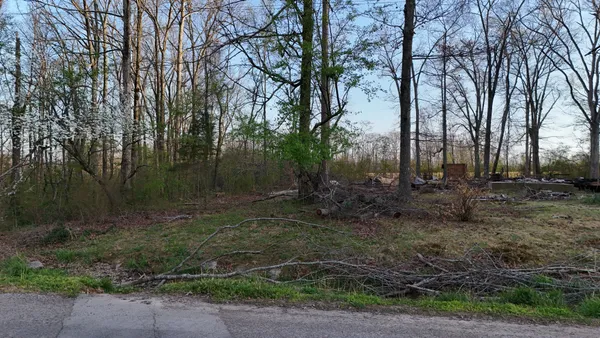 a view of a backyard