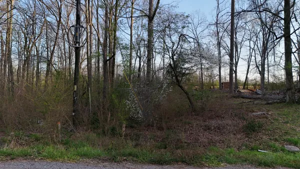 a view of backyard with green space