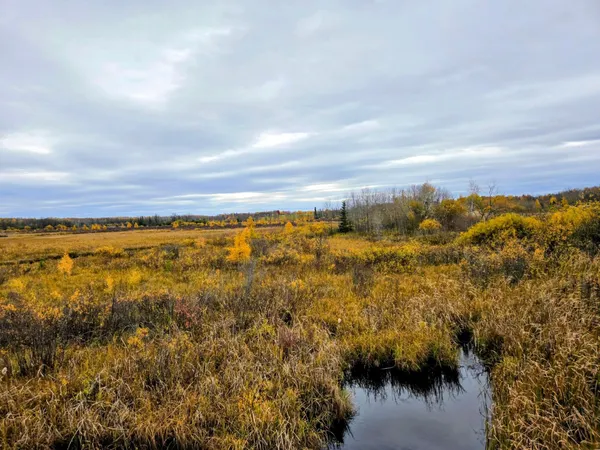 $19,000 | 111 Atv Snowmobile Trail Bridge, Blackduck, MN 56630