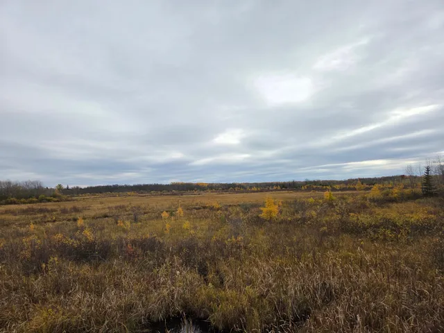 $24,000 | 111 Atv Snowmobile Trail Bridge, Blackduck, MN 56630