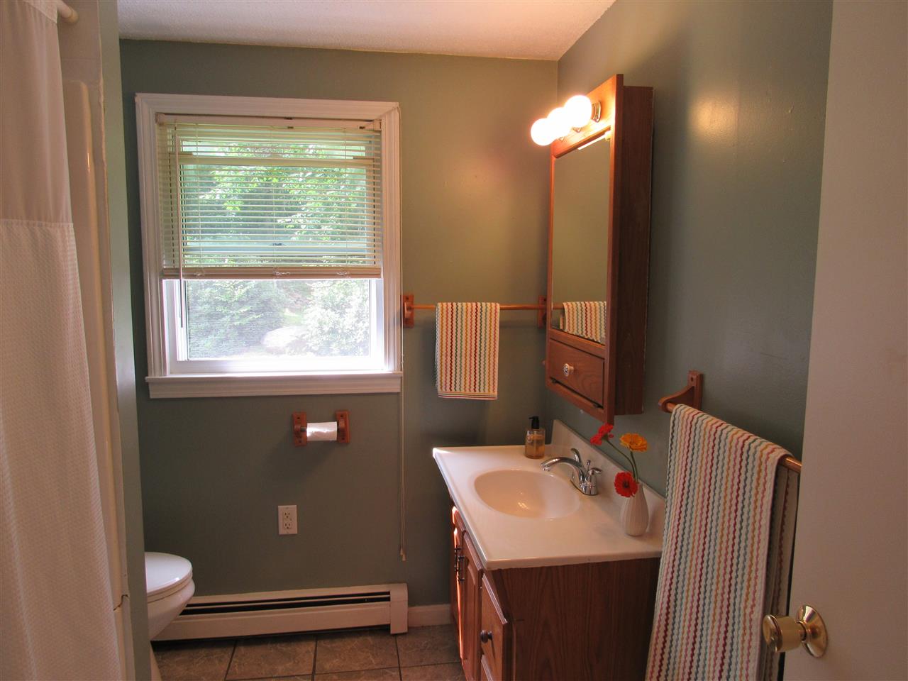 172 Webster Mills Road Pittsfield, NH 03263 - Photo 14 of 25