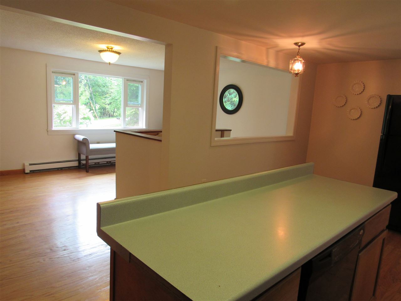 172 Webster Mills Road Pittsfield, NH 03263 - Photo 8 of 25
