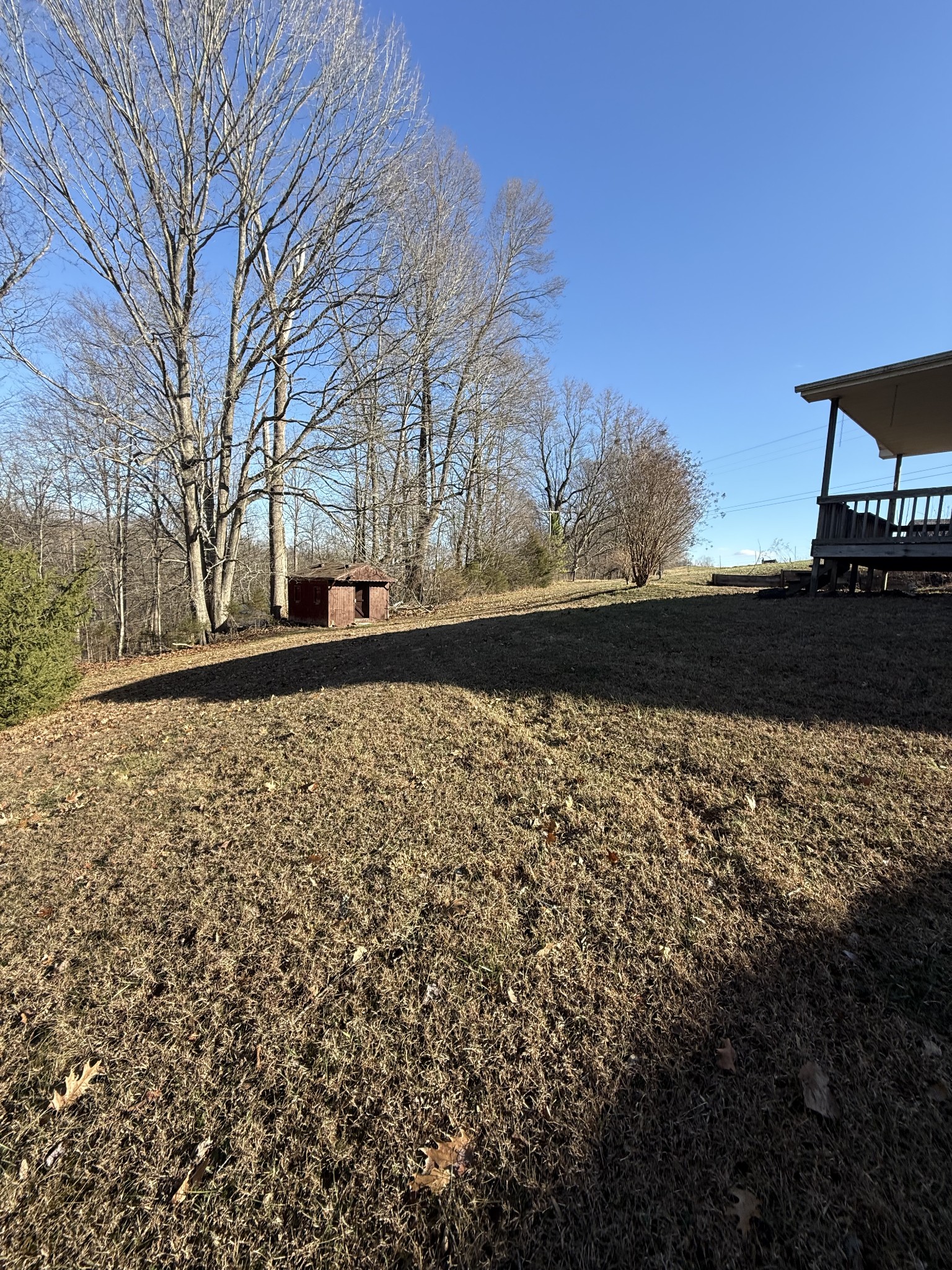 2352 Spring Creek Road Lafayette, TN 37083 - Photo 5 of 11 a street view with garden