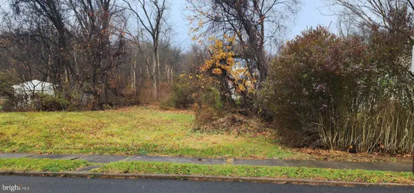 a view of a yard with large trees