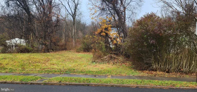 a view of a yard with large trees