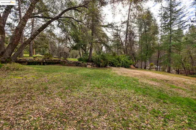 a view of a field with trees in the background