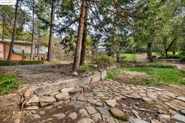 a backyard of a house with lots of green space