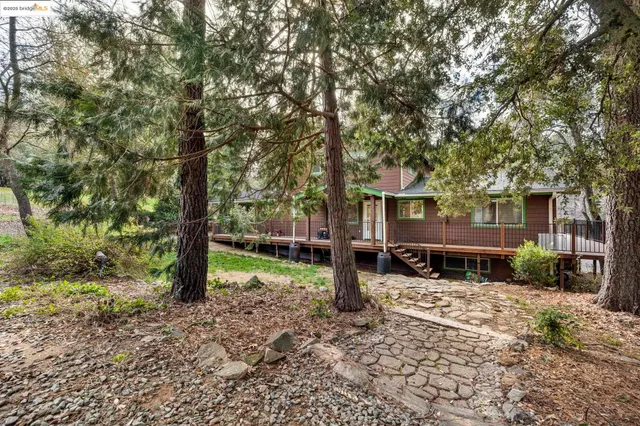 a view of a house with a yard and tree