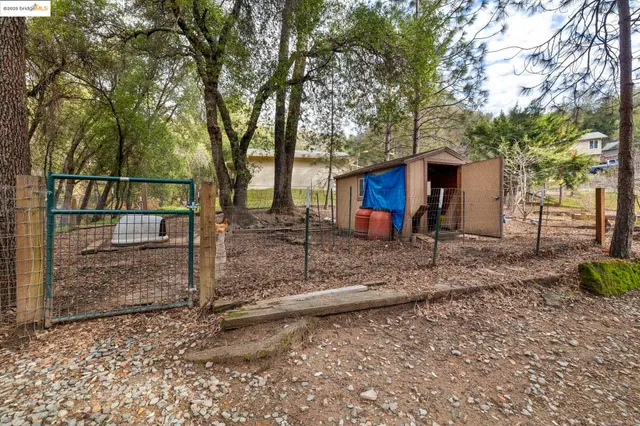 a view of a backyard with wooden fence and large trees