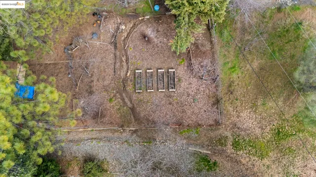 a view of a city with lush green forest