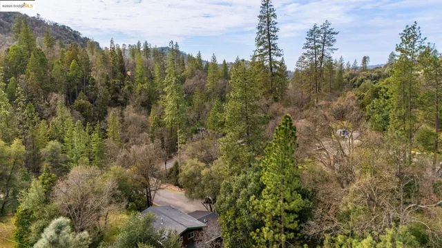 a view of a back yard