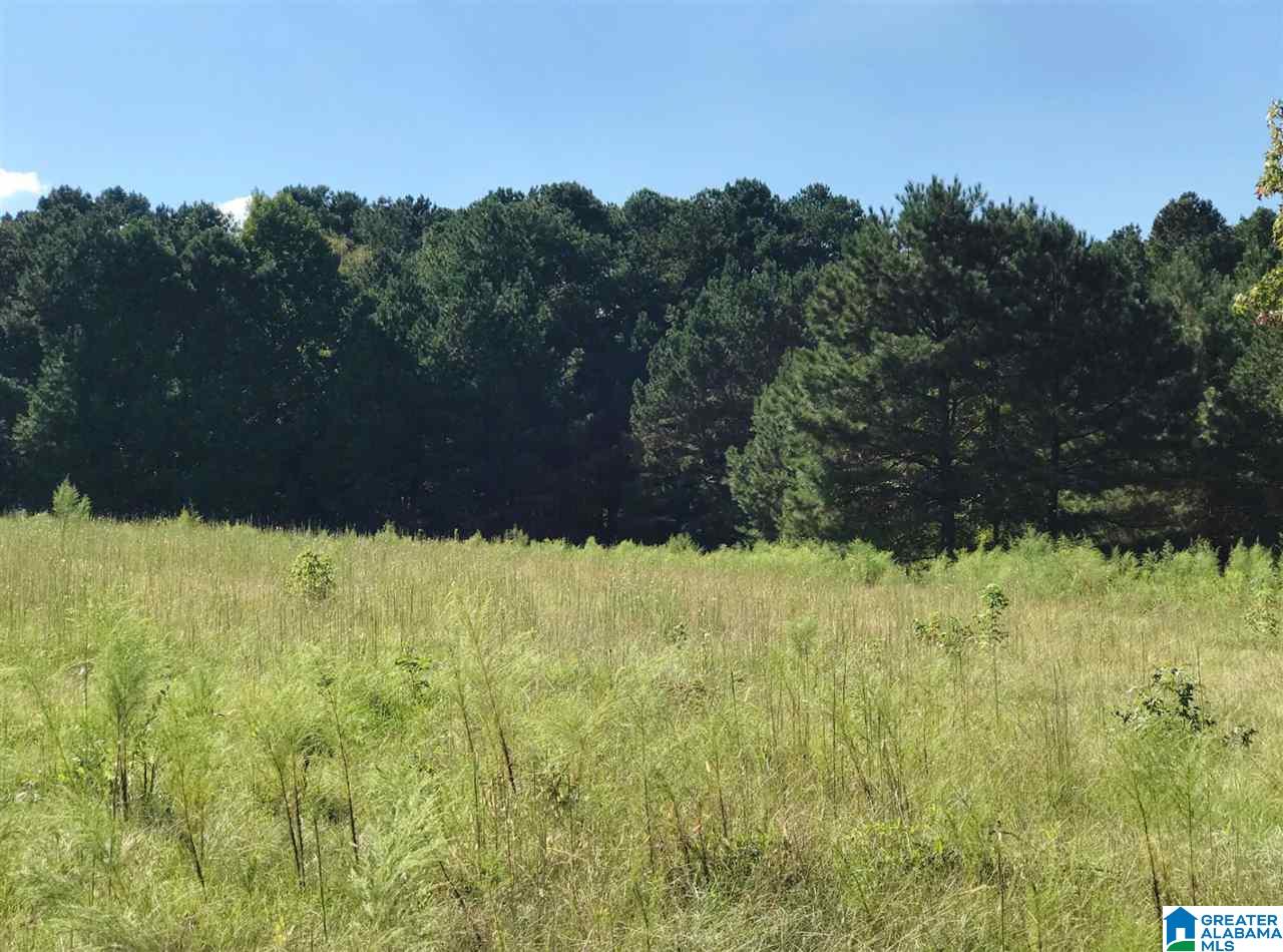 1525 Chelsea Road, Unit 1525 Columbiana, AL 35051 - Photo 7 of 33