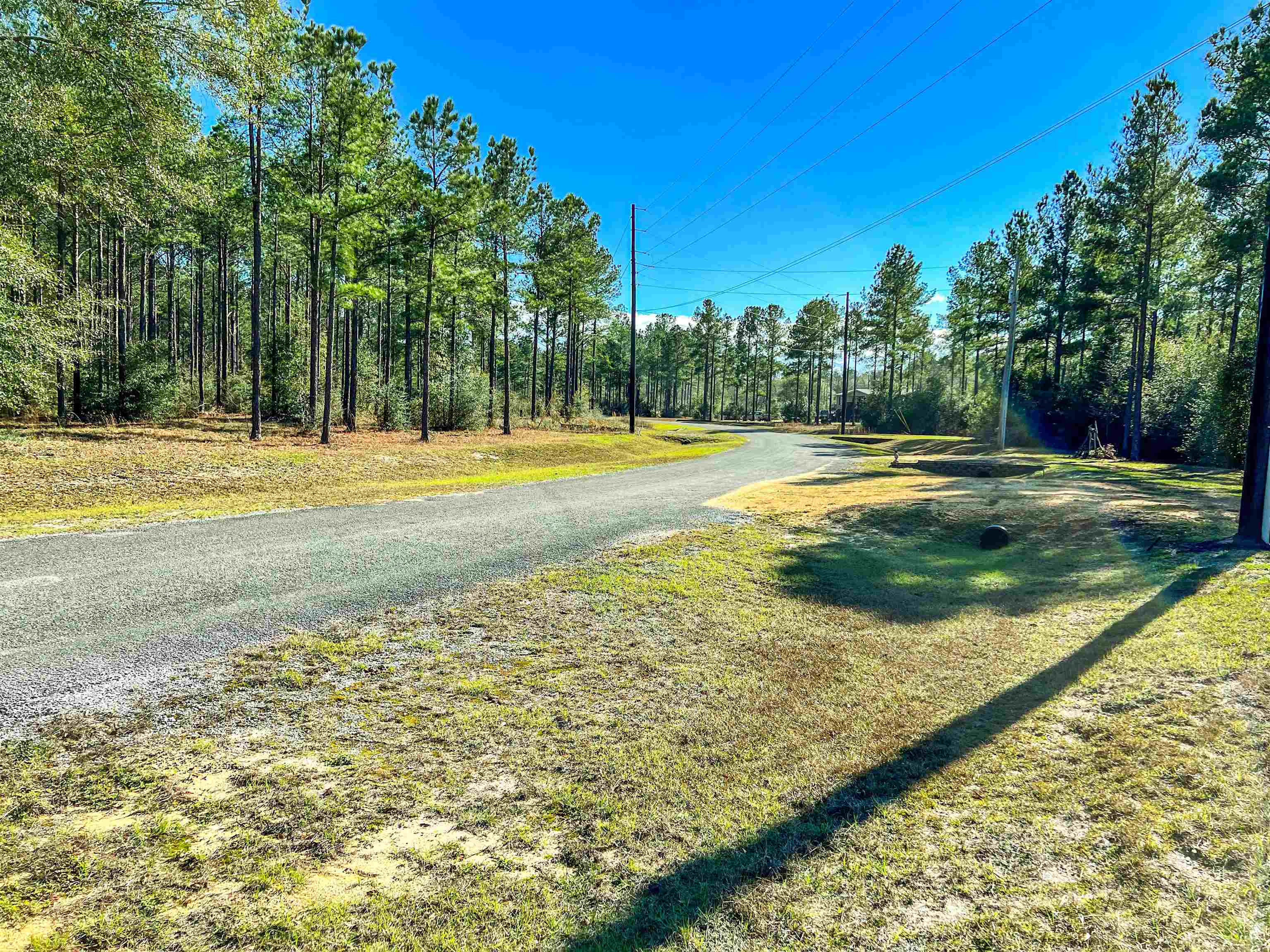 59 Harbor Road Andalusia, AL 36421 - Photo 4 of 6 Gallery Image 4