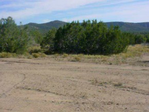 13 Anvil Rock Road Seligman, AZ 86337 - Photo 7 of 7 Additional Photo