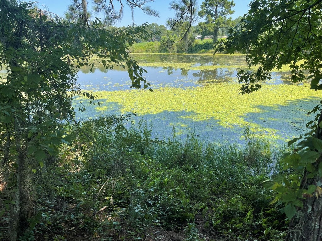 220 Dillon Road Thomasville, GA 31757 - Photo 15 of 56 Large Pond